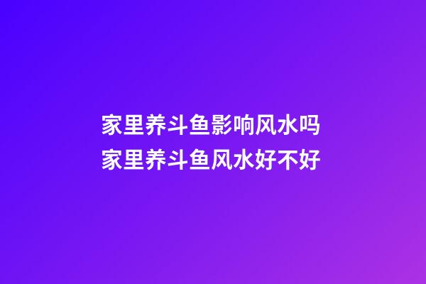 家里养斗鱼影响风水吗 家里养斗鱼风水好不好